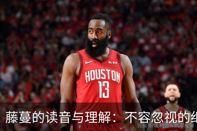 藤蔓的读音与理解：不容忽视的细节