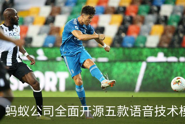 蚂蚁公司全面开源五款语音技术模型