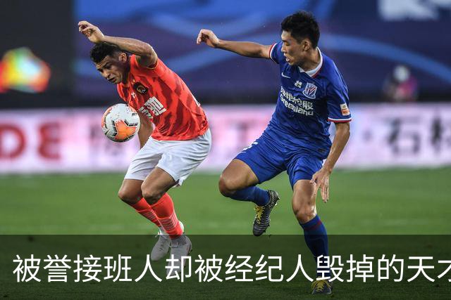 被誉接班人却被经纪人毁掉的天才