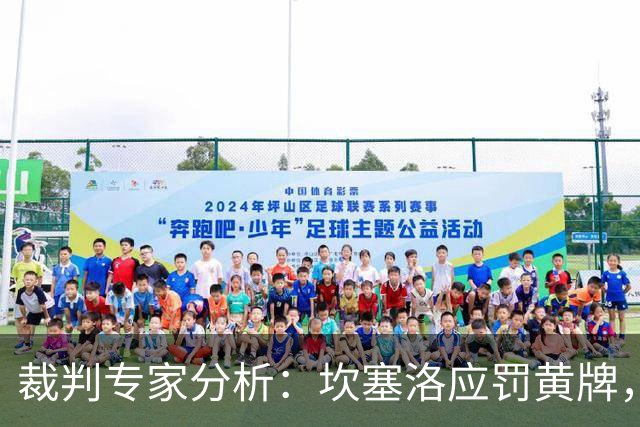 裁判专家分析：坎塞洛应罚黄牌，巴尔德手球不成立