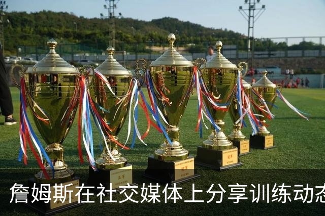 詹姆斯在社交媒体上分享训练动态