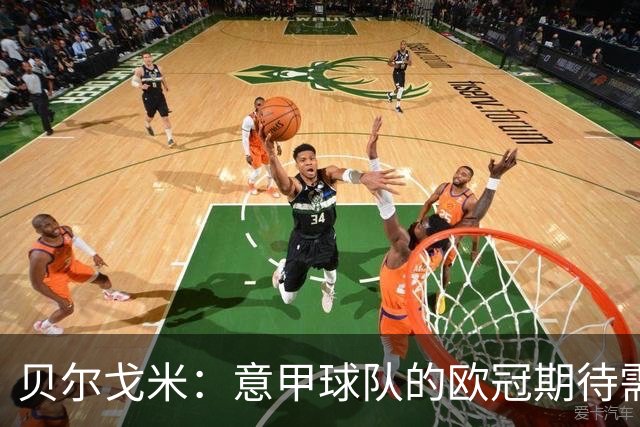 贝尔戈米：意甲球队的欧冠期待需务实看待