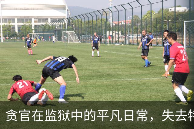 贪官在监狱中的平凡日常，失去特权适应新生活