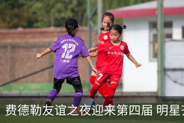 费德勒友谊之夜迎来第四届 明星齐聚盛事达到高潮
