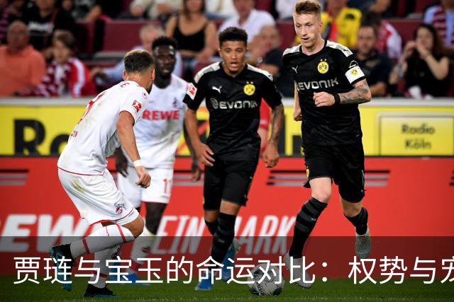 贾琏与宝玉的命运对比：权势与宠爱之间的悲凉