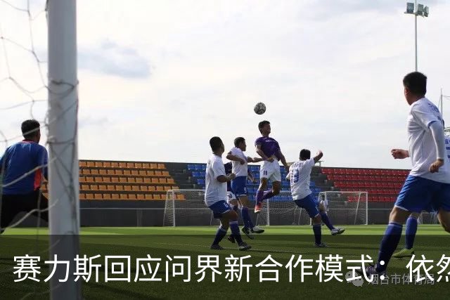 赛力斯回应问界新合作模式：依然保持华为的技术支持