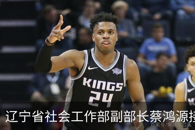 辽宁省社会工作部副部长蔡鸿源接受调查