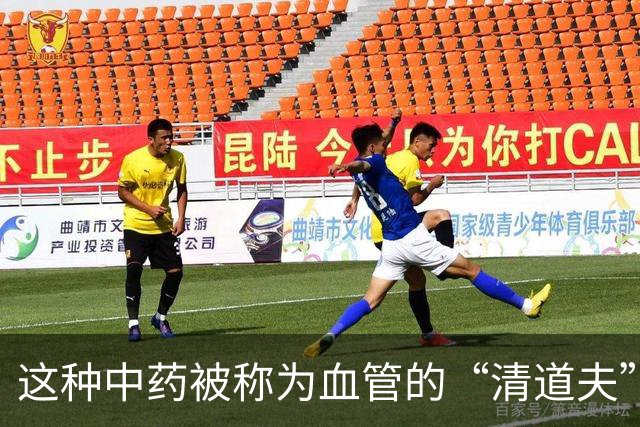 这种中药被称为血管的“清道夫”，适量饮用可改善血管健康