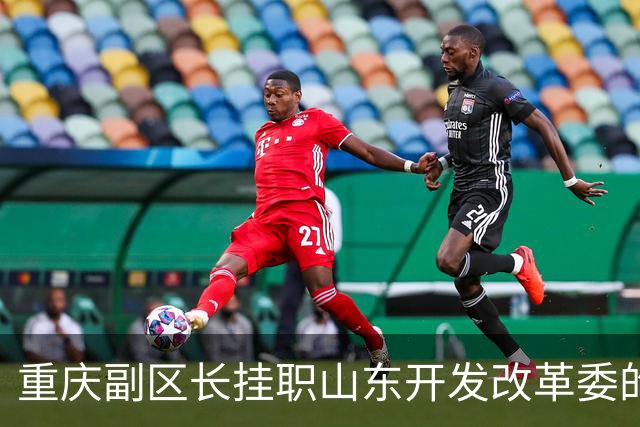 重庆副区长挂职山东开发改革委的背景与意义探析