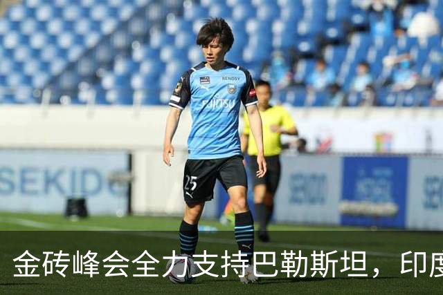 金砖峰会全力支持巴勒斯坦，印度态度引关注