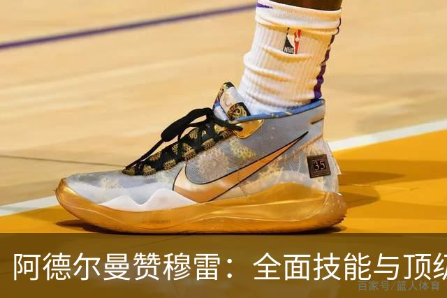 阿德尔曼赞穆雷：全面技能与顶级进攻天赋