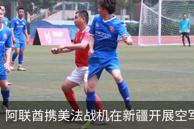 阿联酋携美法战机在新疆开展空军联合演习