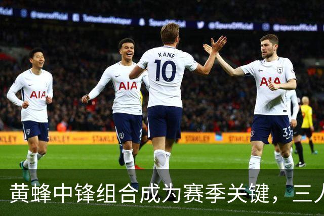 黄蜂中锋组合成为赛季关键，三人如何协作备受关注