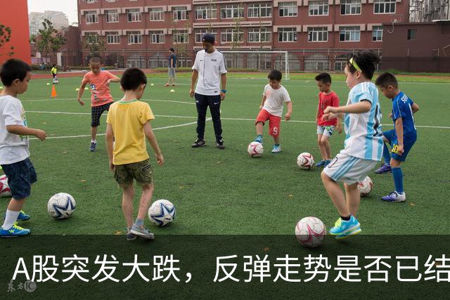 A股突发大跌，反弹走势是否已结束？