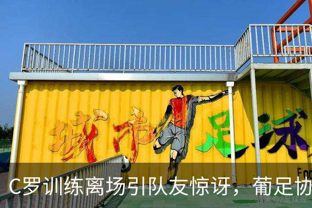 C罗训练离场引队友惊讶，葡足协主席积极劝说其回归