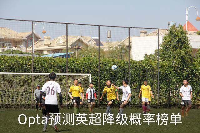 Opta预测英超降级概率榜单